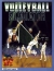 Volleyball Simulator [DE] Box Art