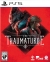 Thaumaturge, The Box Art