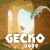 Gecko Gods Box Art