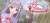 Atelier Lulua: The Scion of Arland Box Art