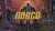 NORCO Box Art