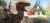 Ark: Survival Evolved Box Art